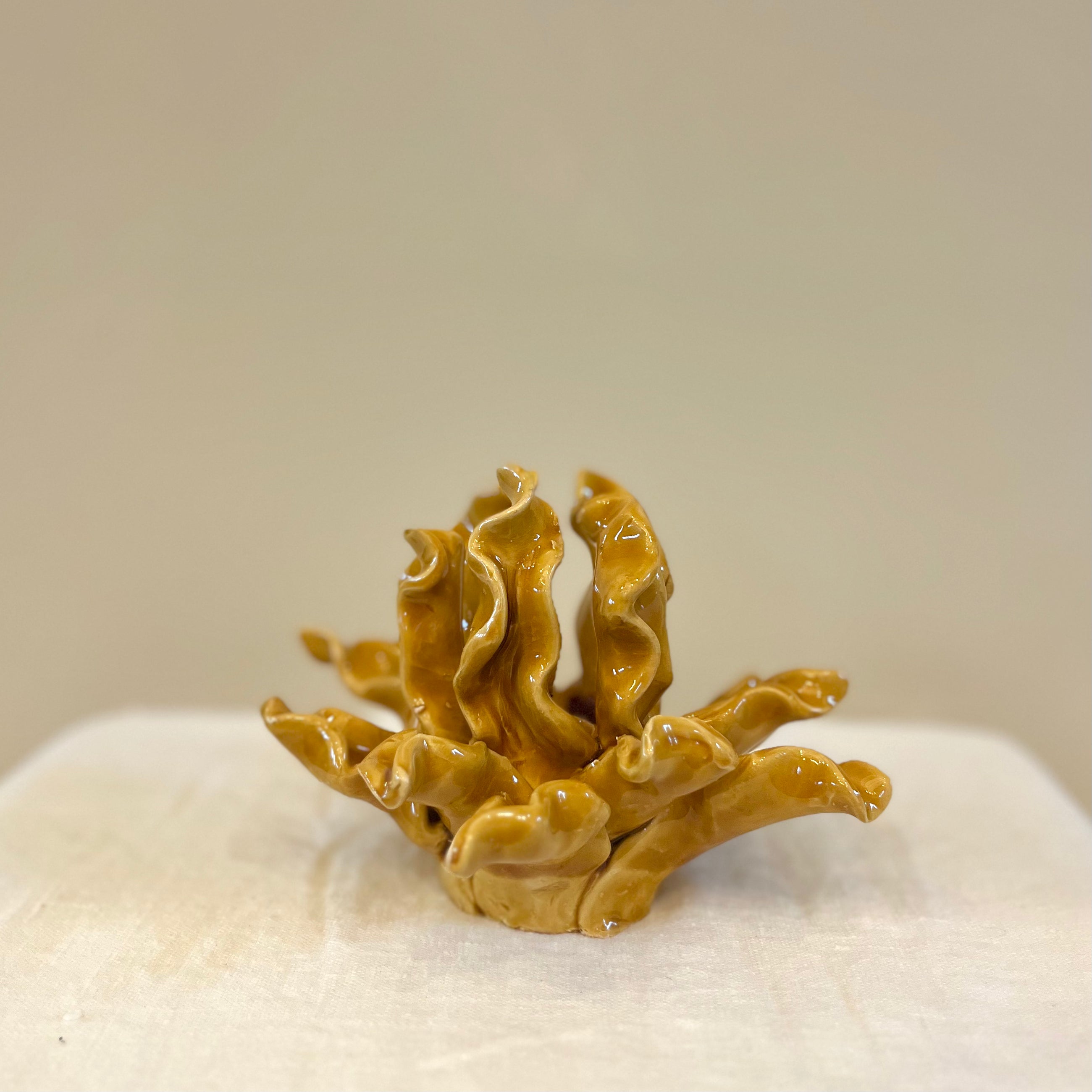 BOUGEOIR ALGUES - MIEL