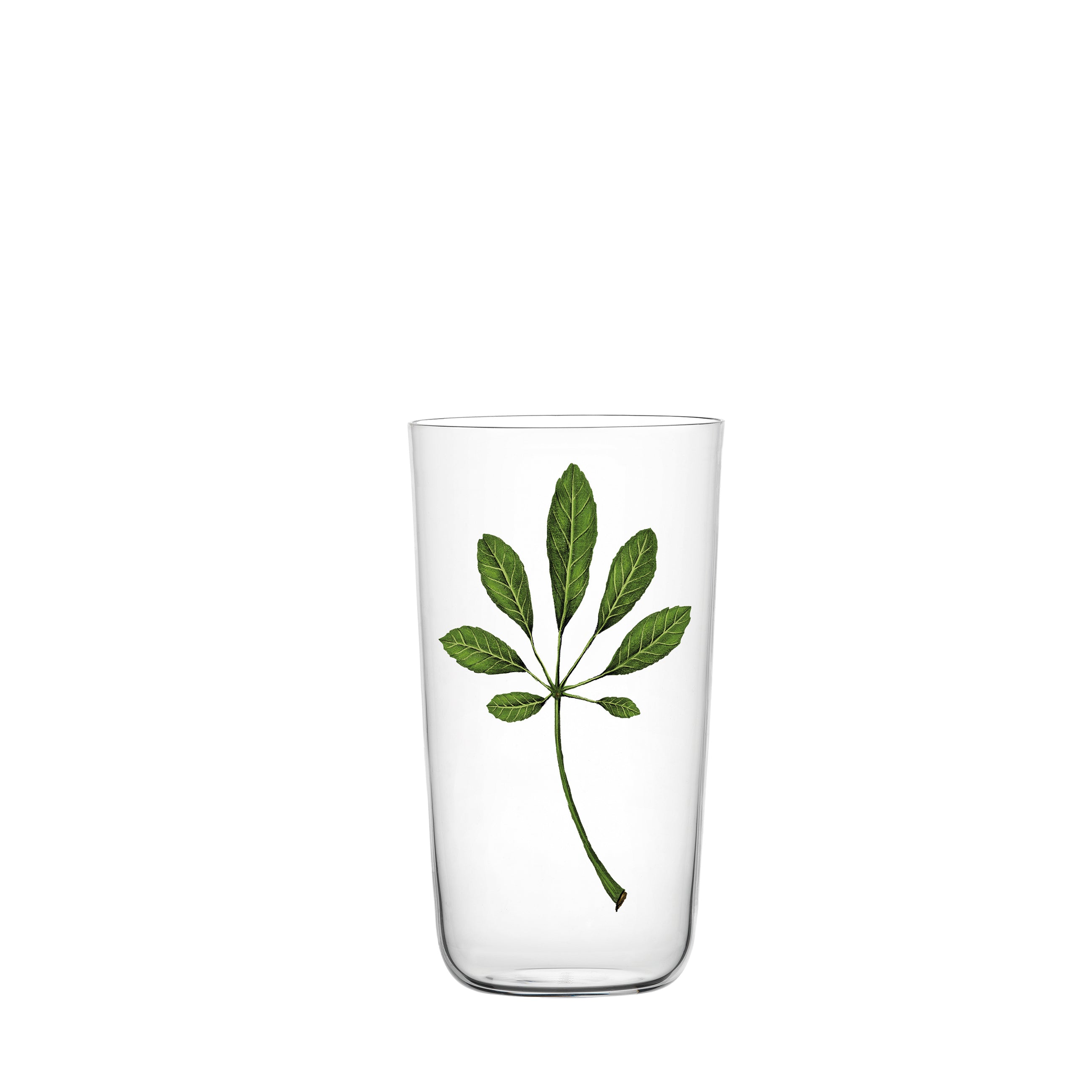 TUMBLER BEAUTIFUL NUMBERS - SET OF 8