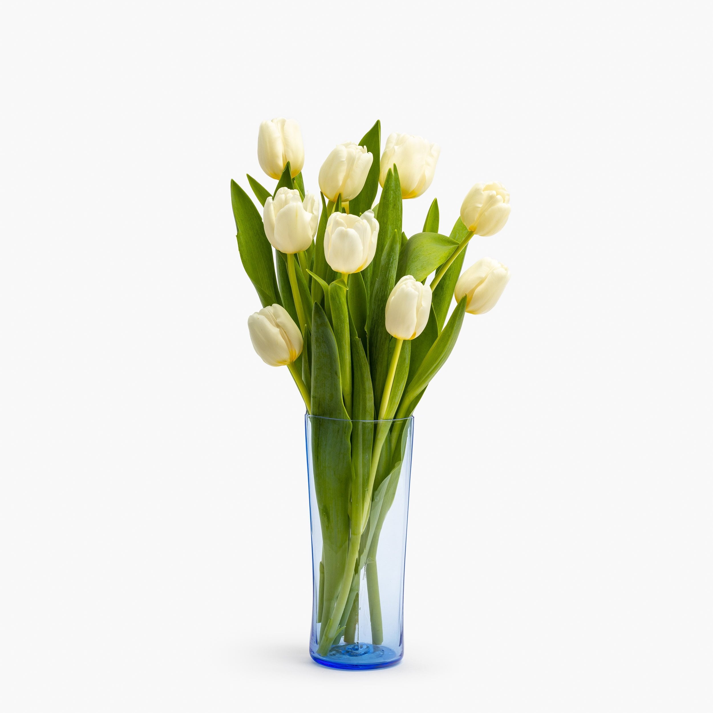 VASE OR CARAFE VENEXIA BLUE