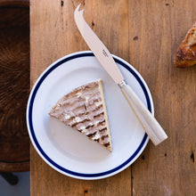 CUTLERY NATURE FAUX HORN - CHEESE KNIFE LARGE