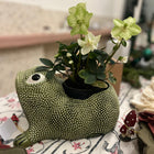 LARGE FROG - KAKI