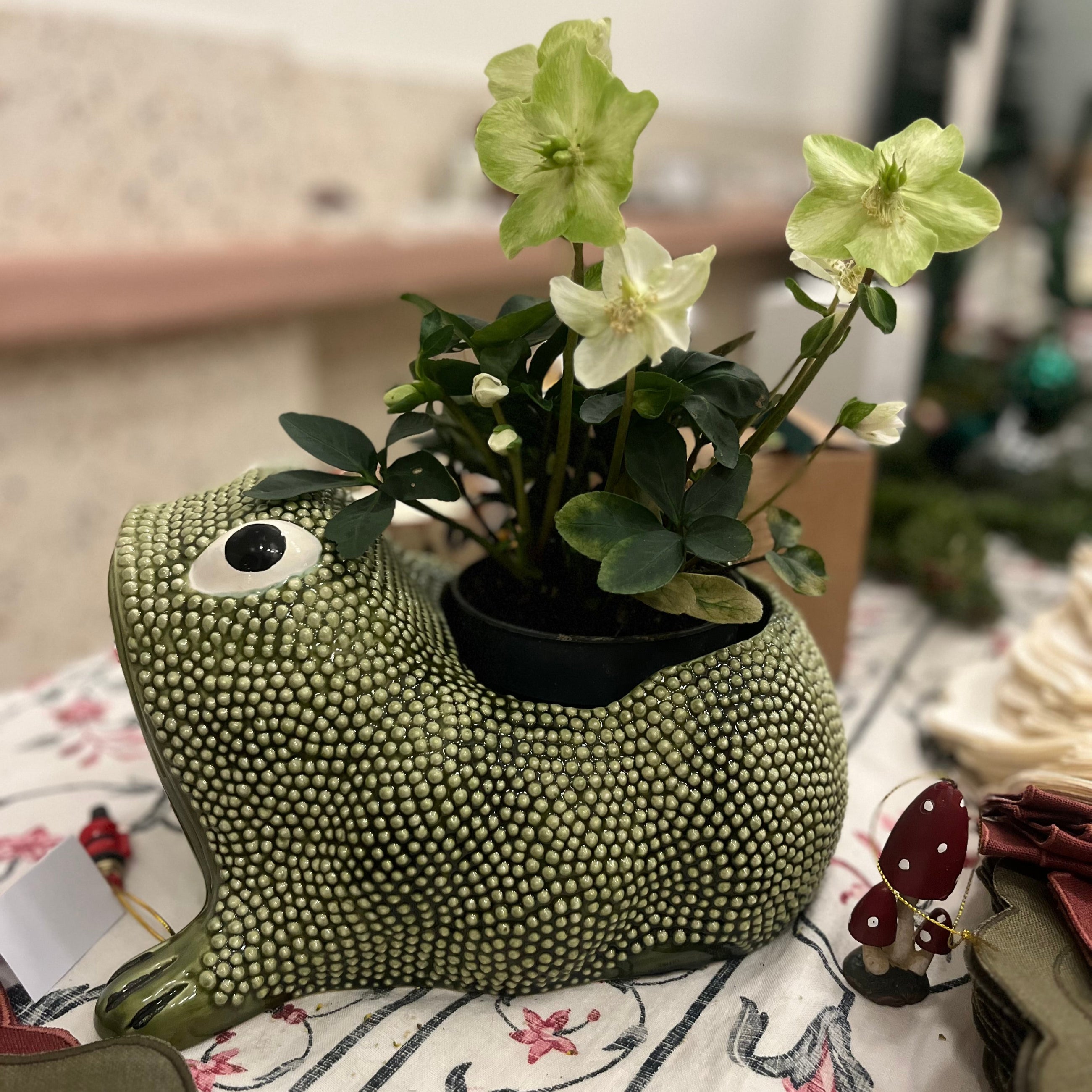 LARGE FROG - KAKI