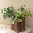 RATTAN AND SOLID BRASS VASE, TEAK