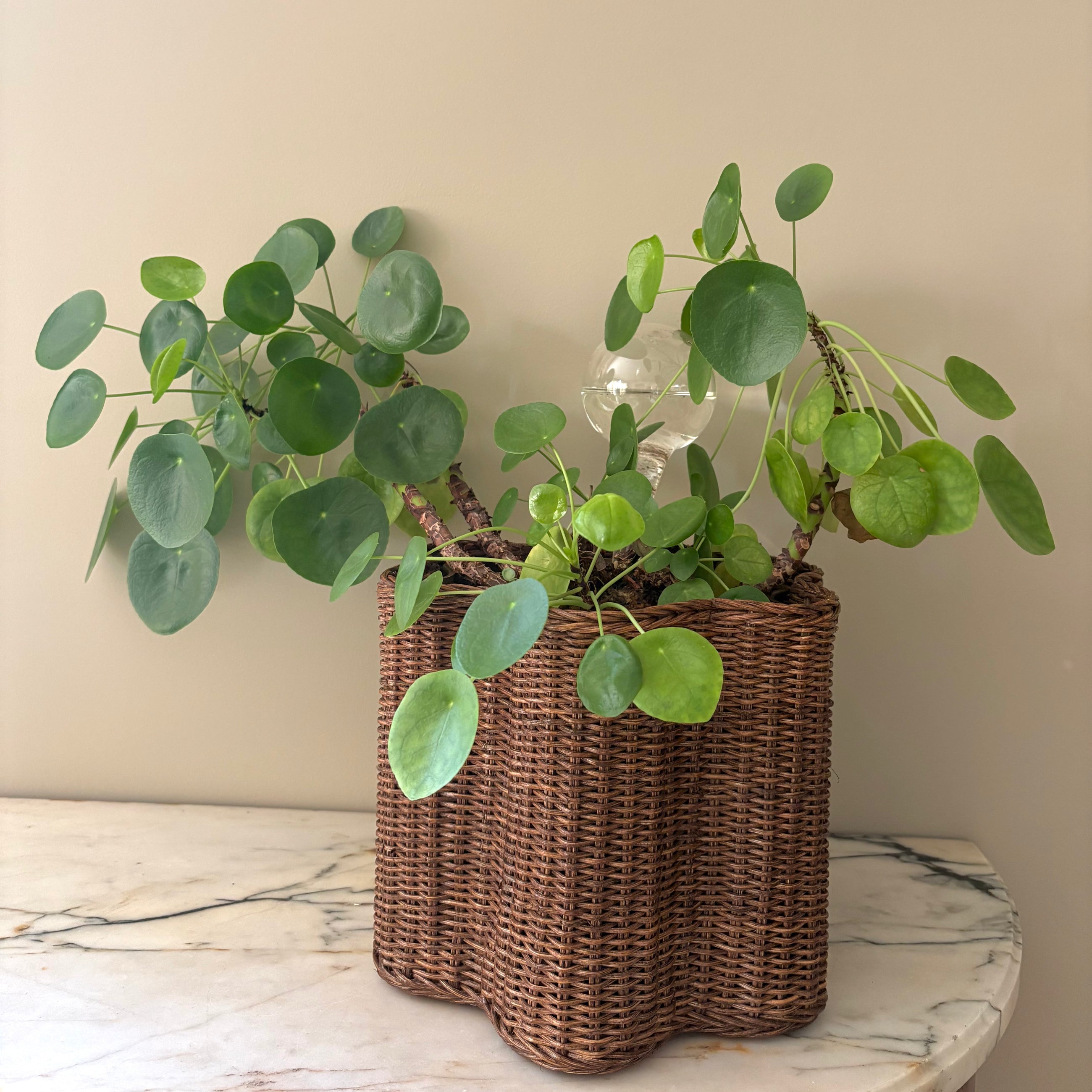 RATTAN AND SOLID BRASS VASE, TEAK